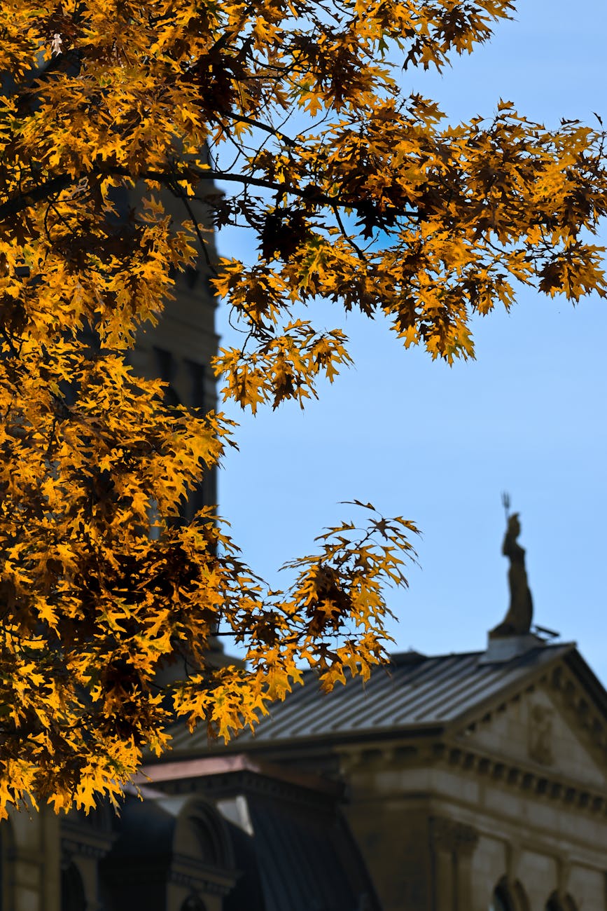 autumn foliage with historic architecture in fredericton